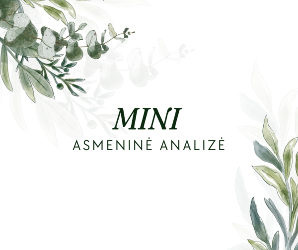 Mini asmeninė analizė