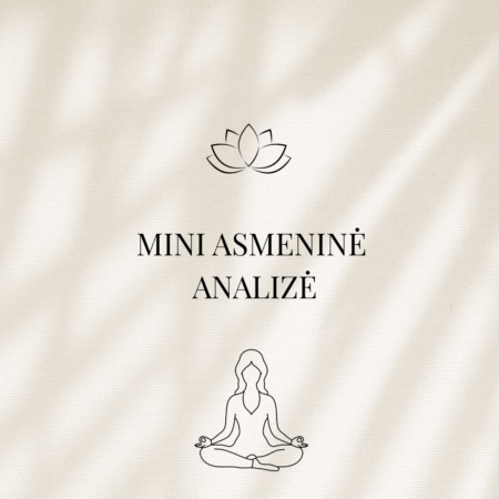Mini asmeninė analizė