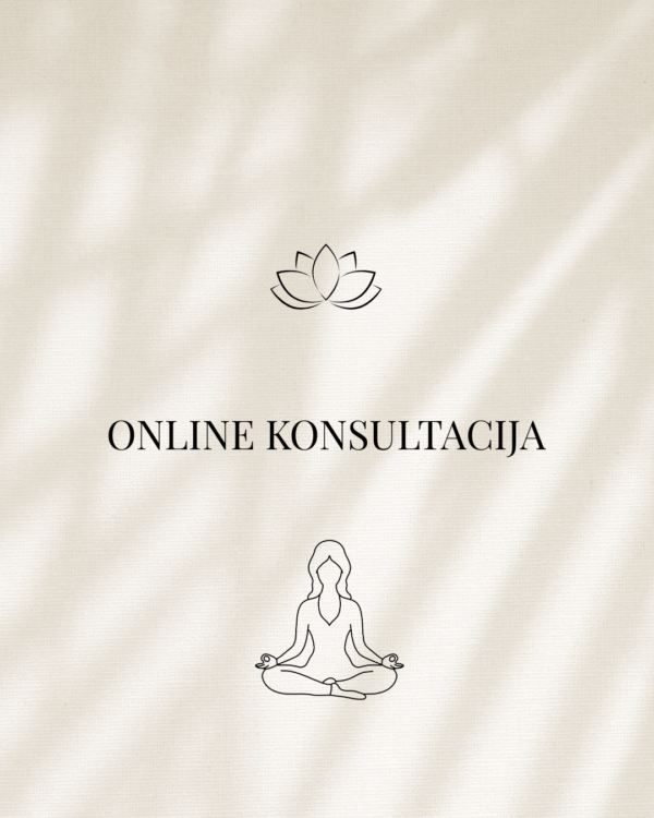 Online konsultacija