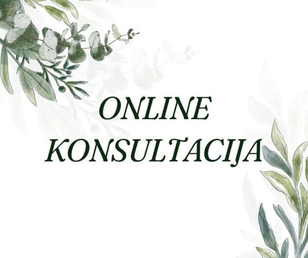 Online konsultacija