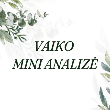 Vaiko mini analizė