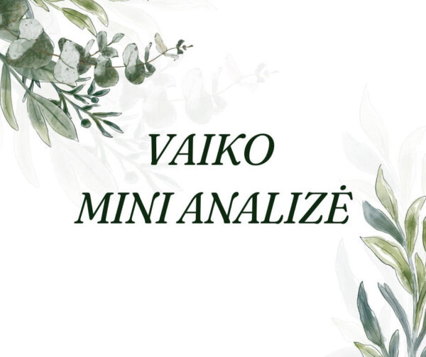 Vaiko mini analizė
