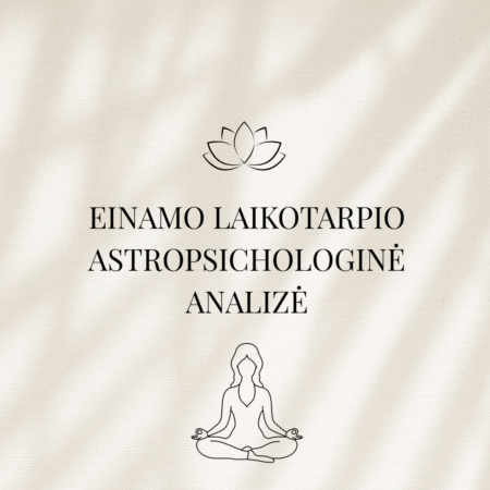 Einamojo laikotarpio analizė