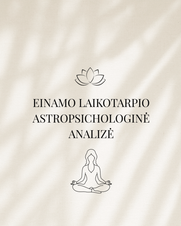 Einamojo laikotarpio analizė