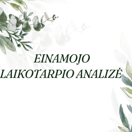 Einamojo laikotarpio analizė