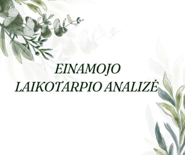 Einamojo laikotarpio analizė