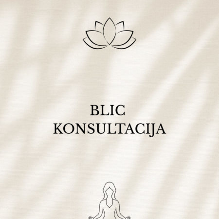 Blic konsultacija