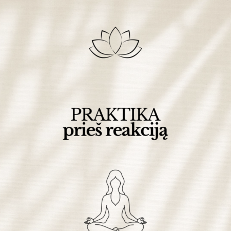 Praktika