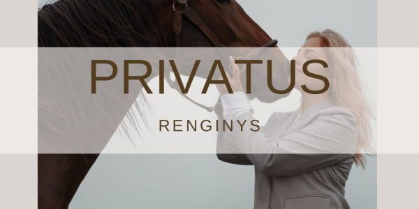 privatusrenginys privatusrenginys